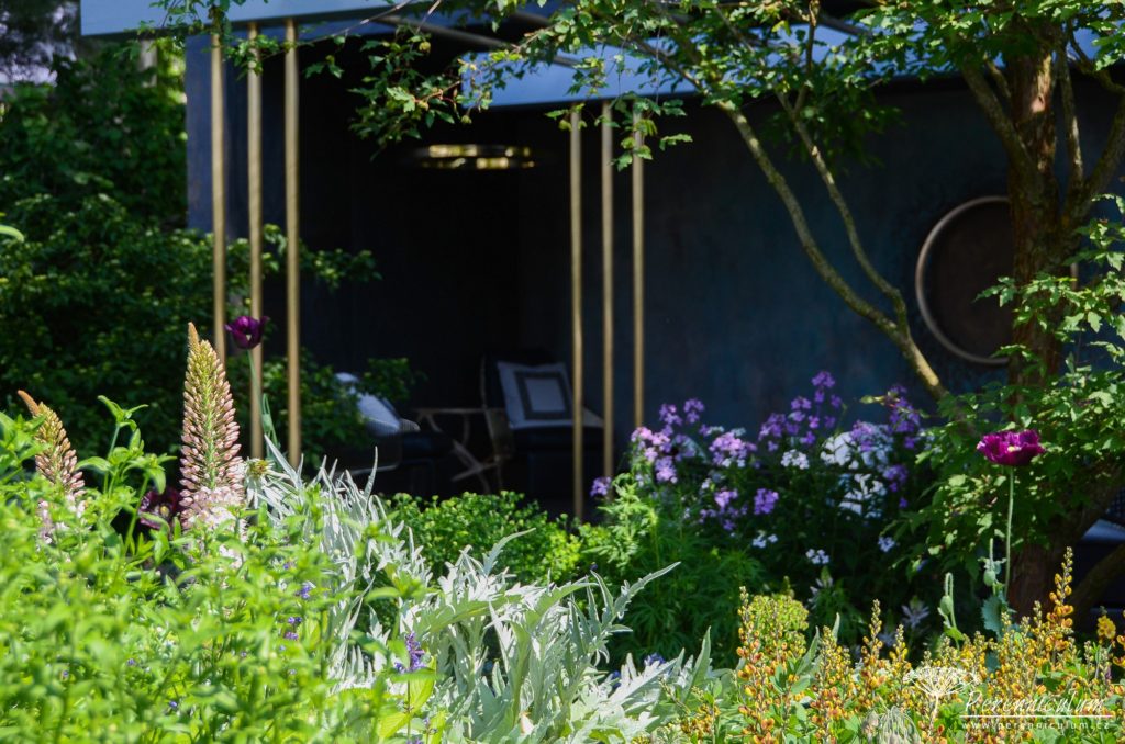 RHS Chelsea Flower Show 2019 12 The Morgan Stanley Garden, Chris Beardshaw