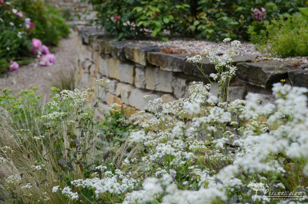 Soukroma zahrada Libusin 14