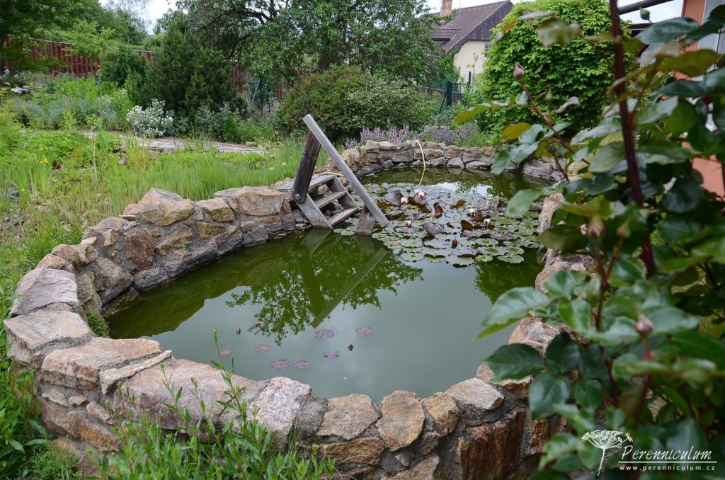 Rezervoár na dešťovou vodu s přepadem do rozlivné plochy s vlhkomilnými rostlinami. 