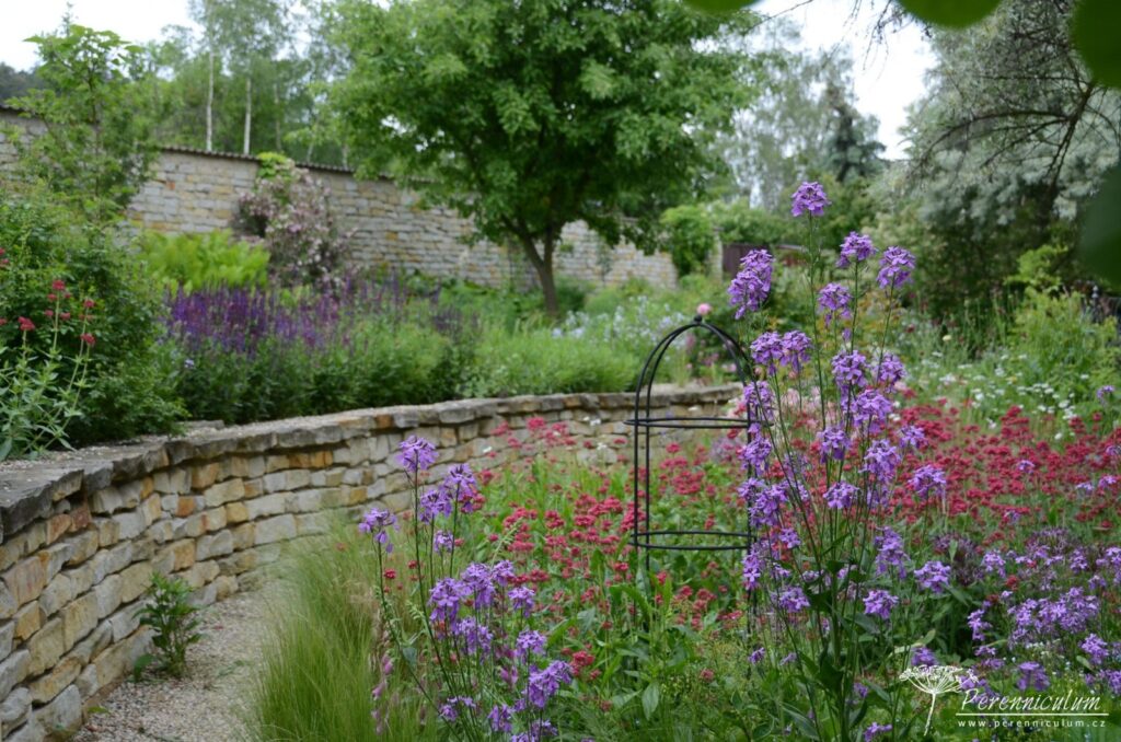 Nízká opěrná zídka pěkně člení prostor a nabízí jiné pohledy na trvalkové záhony. Štěrková cestička vede dole podél zídky. 