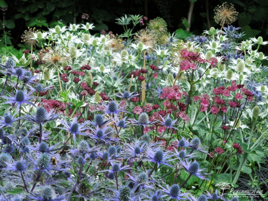 Mala zahrada tisice prekvapeni York Gate 14