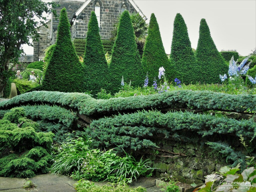 Mala zahrada tisice prekvapeni York Gate 21