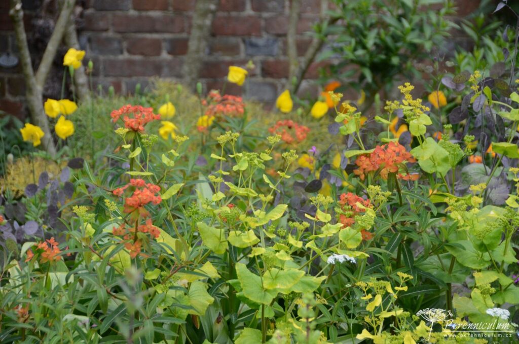 Legenda mezi anglickými zahradami - Great Dixter 7 40 Great Dixter 24