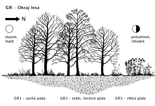 Stanovištní okruh Okraj lesa