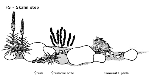 Stanovištní okruh Skalní step