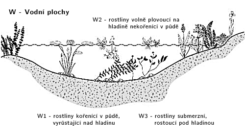 Stanovištní okruh Vodní plochy