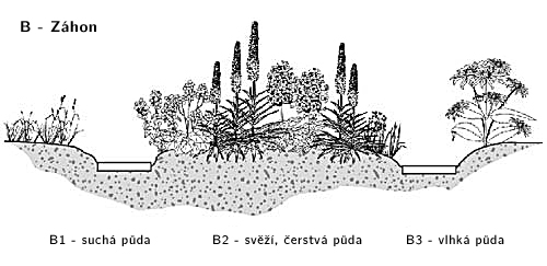 Stanovištní okruh Záhon