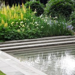 Lupinus Chandelier