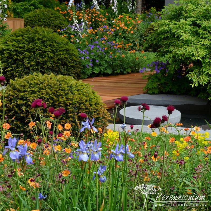 RHS Chelsea Flower Show 2015 hlavní obrázek
