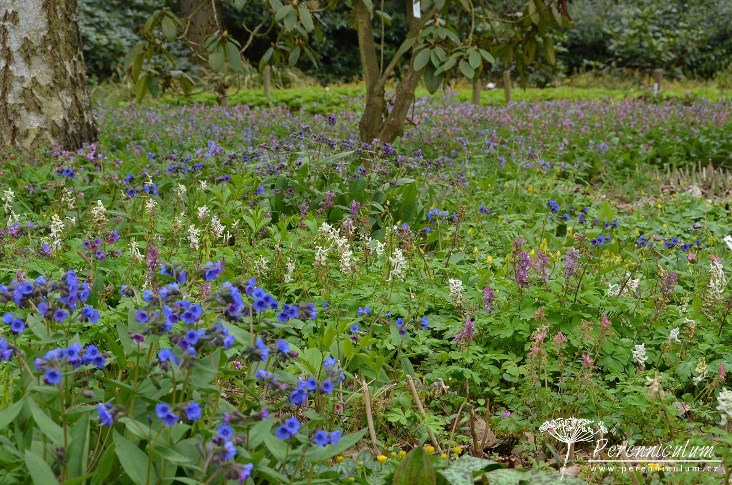 V dendrologické zahradě nejsou jen zajímavé stromy 11 Dendrologická zahrada 30