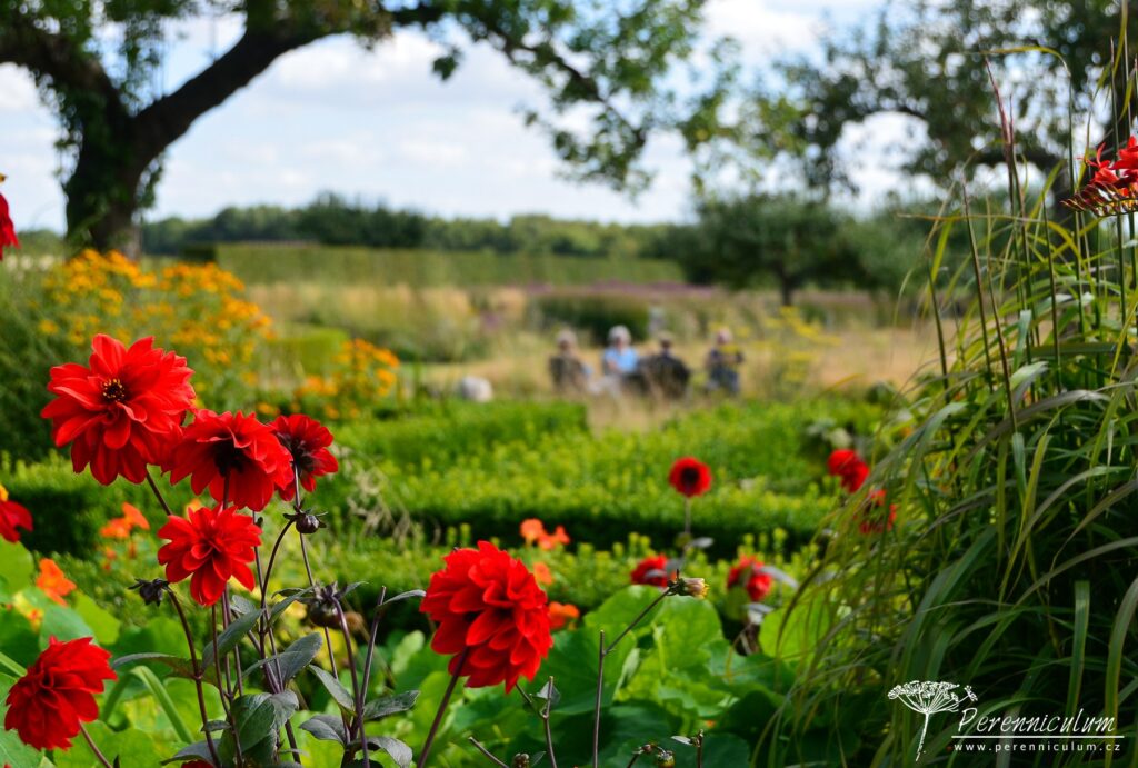 Le Jardin Plume - venkovské kouzlo s podtónem francouzské formální zahrady 15 Pohled z Letní zahrady do jabloňového sadu.