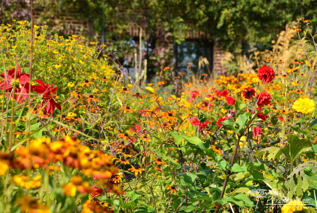 Le Jardin Plume - venkovské kouzlo s podtónem francouzské formální zahrady 14 Le Jardin Plume 21
