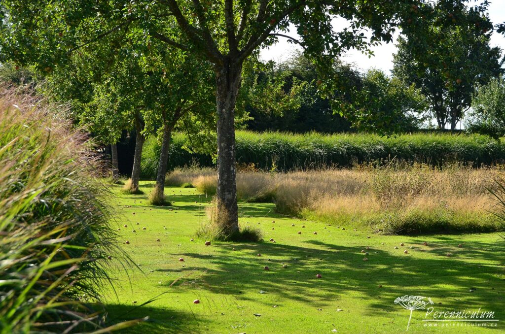 Le Jardin Plume - venkovské kouzlo s podtónem francouzské formální zahrady 5 Le Jardin Plume 35