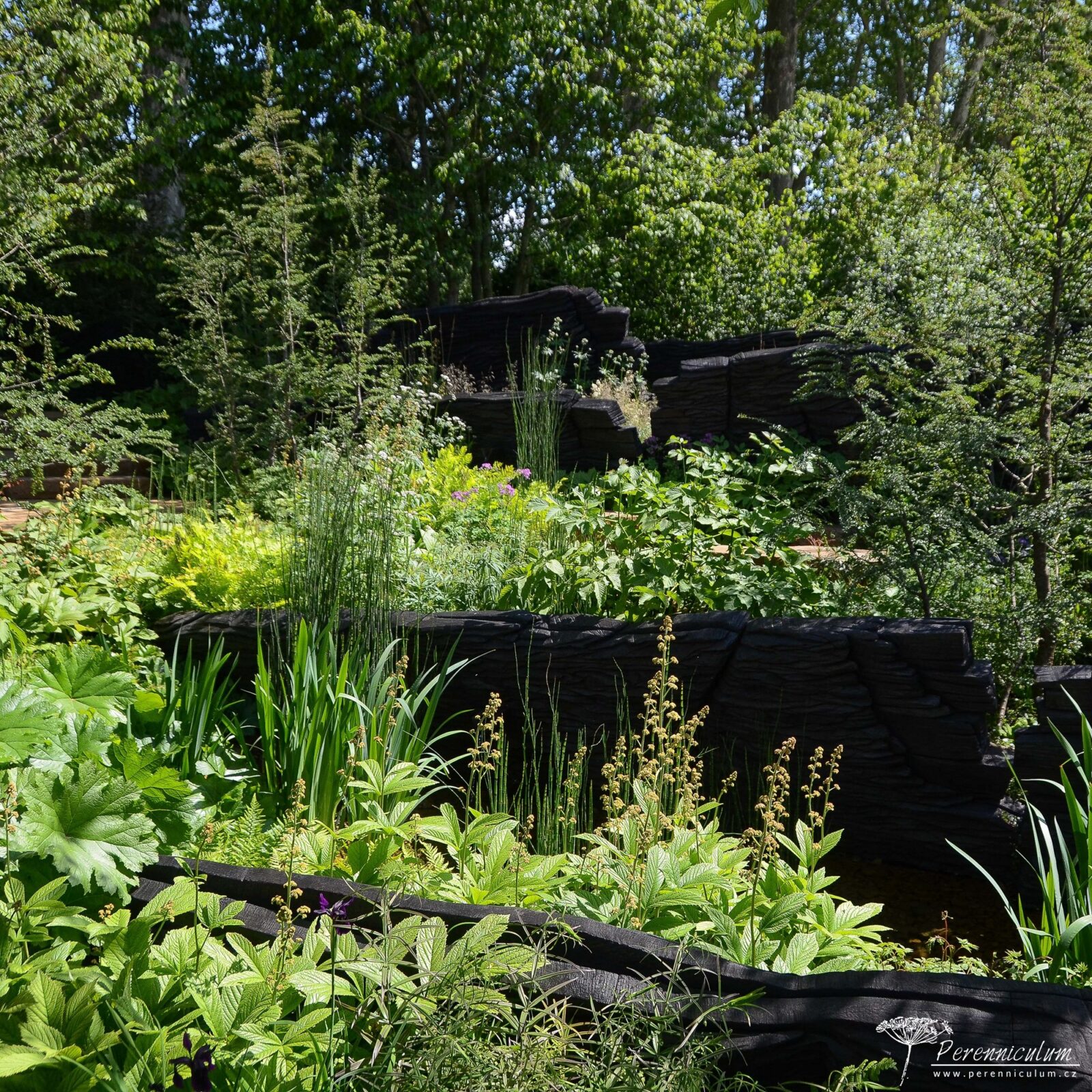 RHS Chelsea Flower Show 2019 hlavní obrázek