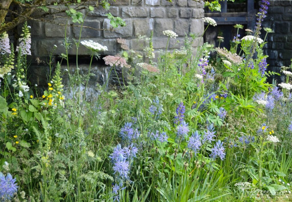 RHS Chelsea Flower Show 2019 6 The Welcome to Yorkshire Garden, Mark Gregory