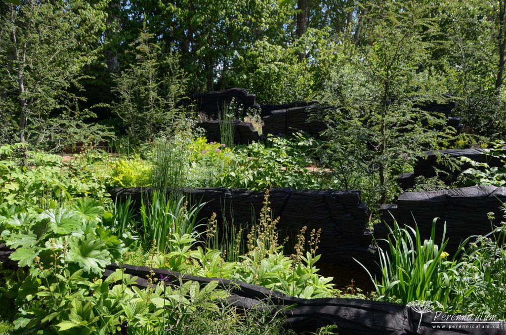 RHS Chelsea Flower Show 2019 1 M&G Garden, Andy Sturgeon