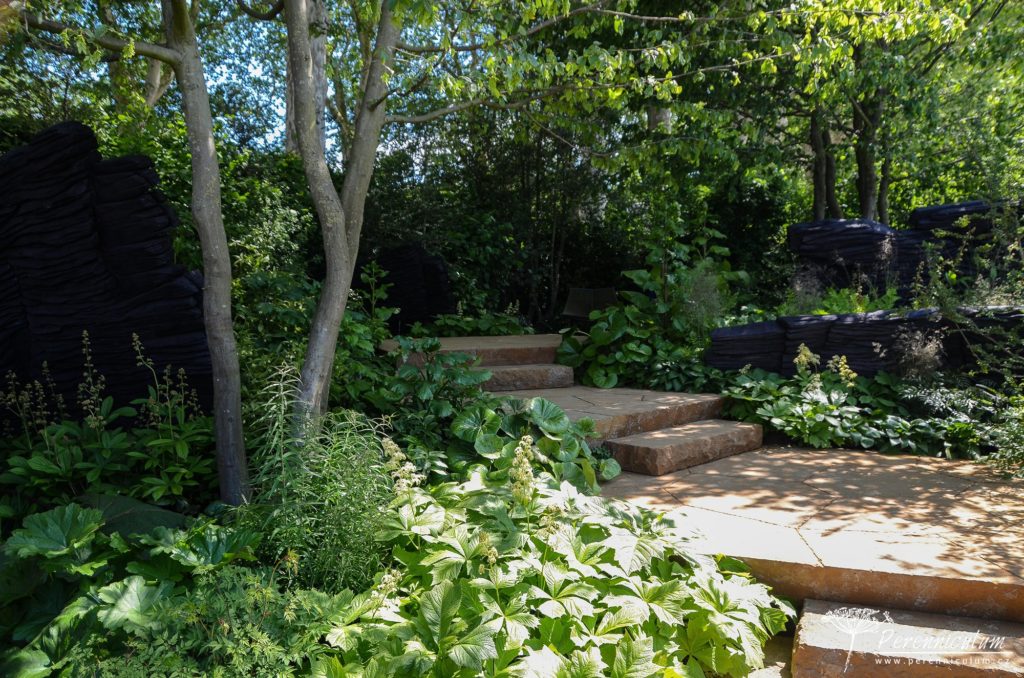 RHS Chelsea Flower Show 2019 3 M&G Garden, Andy Sturgeon