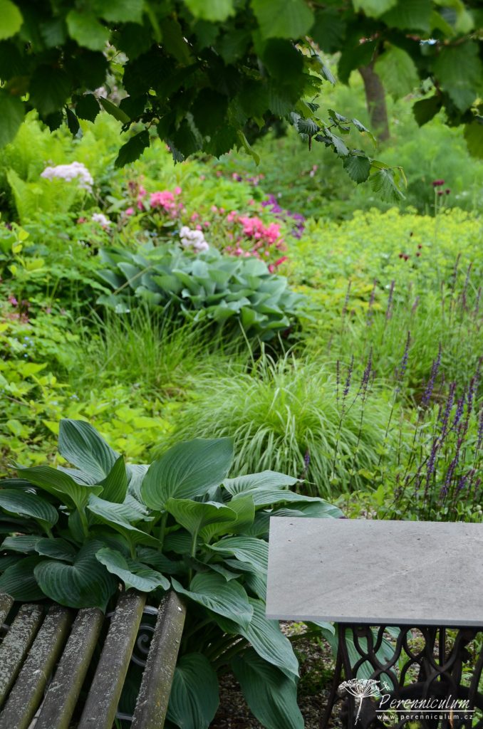 Stinnější část zahrady s bohyškami a posezením pod lískou.