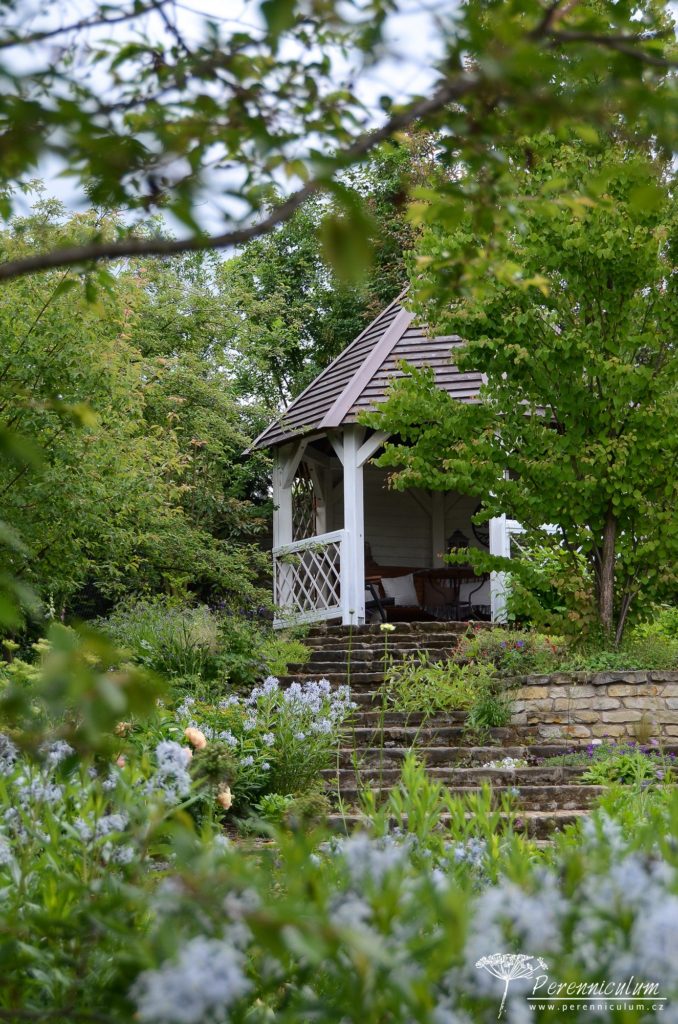 Altánek na vrcholku zahrady střeží zmarličník japonský, který voní po čerstvě upečených buchtách.