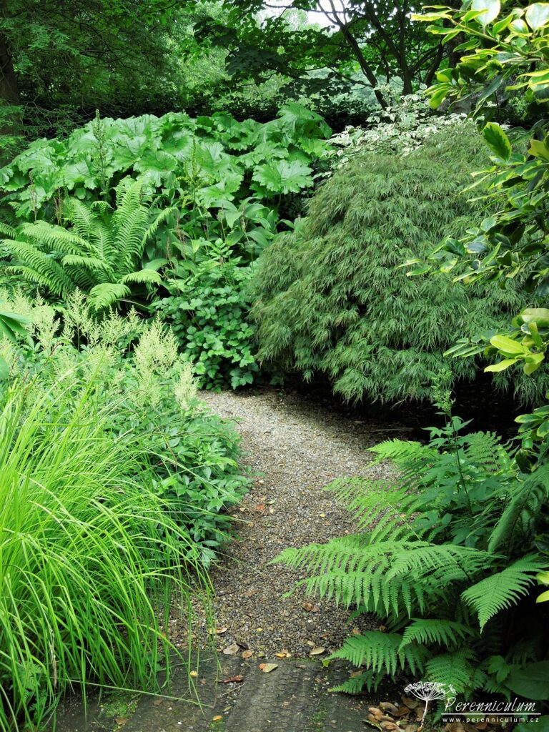 Mala zahrada tisice prekvapeni York Gate 20