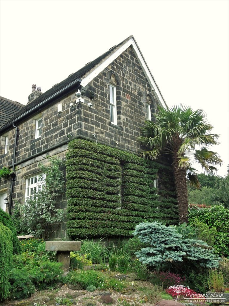 Mala zahrada tisice prekvapeni York Gate 34