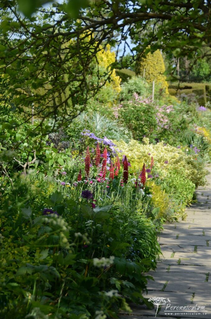 Legenda mezi anglickými zahradami - Great Dixter 14 Průhled od domu na  Dlouhý záhon (The Long Border).