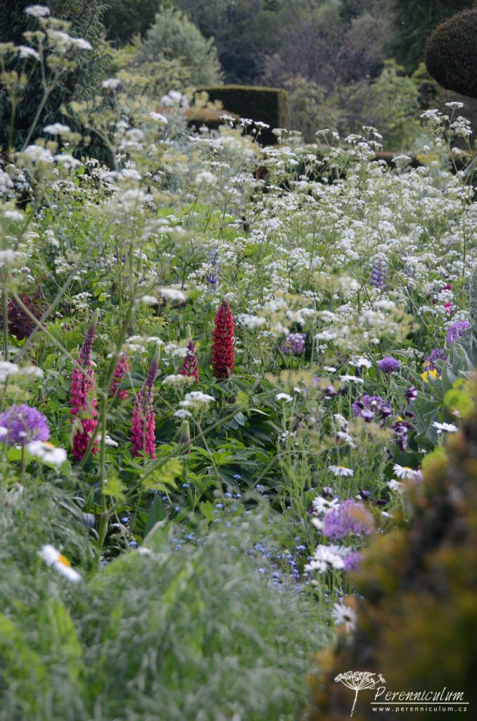 Legenda mezi anglickými zahradami - Great Dixter 16 40 Great Dixter 49
