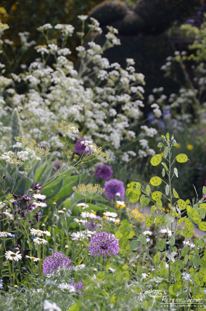 Legenda mezi anglickými zahradami - Great Dixter 15 40 Great Dixter 51
