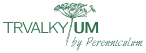 TRVALKYUM_logo